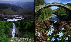 Rize ziyaretçilerini bekliyor!