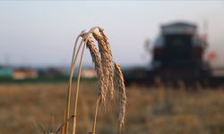 Tarım ve Orman Bakanlığından çiftçilere para desteği