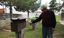 Volkanik taşlarla evinin bahçesine sanat duvarı yaptı