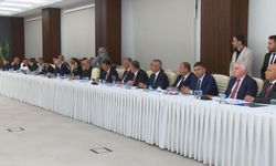 Ankara’da Sokak Hayvanları İçin Alarm