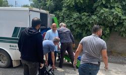 Annesini dövüp, boğdu!