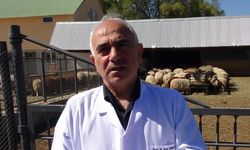 Atatürk Üniversitesi'nden Kurbanlık Satışı: Araştırma Koyunları Halkla Buluşuyor