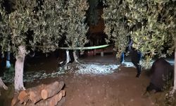 Bağ evinde baltayla öldürüldü