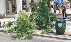 Bodrum'da fırtınanın faturası ağır oldu