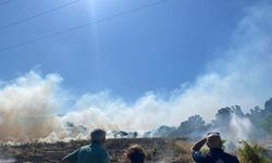Bodrum'da ot yangını
