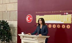 DEM Parti'li Koçyiğit: 10'uncu Yargı Paketi talebi