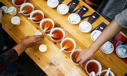 'Fujian' çayı tanıtıldı!