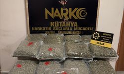 Kamyondan 15 kilo 840 gram esrar çıktı