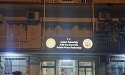 Kardeşini kurtarmak isterken sulama kanalında boğuldu