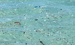 Okyanusta mikroplastik bulundu