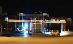 Otomobilin çarpmasıyla hayatını kaybetti
