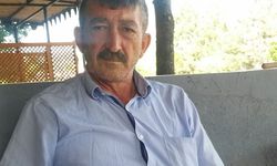 Otomobilin çarptığı yaya hayatını kaybetti