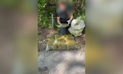 Sakarya'da uyuşturucu operasyonu