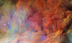 Samsunlu doktor NASA heyecanı yaşıyor!