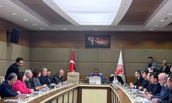Zira Don Araştırma Komisyonu Başkanlığı'na Kim Seçildi?