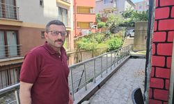 Zonguldak’ta Kedilere İşkence: Karınları Kesilip Organları Alındı
