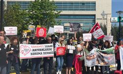 "Hiçbir Canımızı Vermiyoruz!" AYM Önünde Hayvan Hakları Nöbeti
