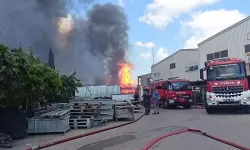 Boya fabrikasından yangın çıktı