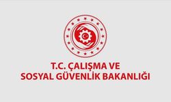 ORGANİZASYON HİZMETİ ALINACAKTIR
