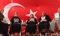 Diyarbakır annelerinden açıklama!