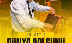 Başkan Şahin'den Dünya Arı Günü Paylaşımı