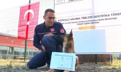 Köpekli Arama Timleri Artık Sertifikalı ve Denetimli Olacak