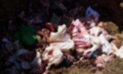 Ankara kurban atıklarını kontrol altına alacak!