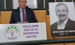DEM BAŞKANI BAKIRHAN LOZAN SORUNU CEVAPLAYAMADI