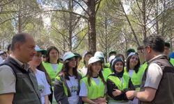 Ankara'da "Orman Benim" Atık Toplama Etkinliği