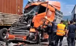 Sakarya’da TIR ve minibüs çarpıştı