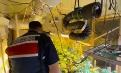 Samsun'da evinde kenevir yetiştirdiği ortaya çıktı