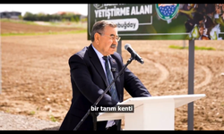 Gölbaşı'nda Karabuğday tohumu atıldı