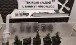 Evlerinde uyuşturucu yetiştiren şüphelilere baskın