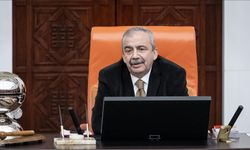 Sırrı Süreyya Önder vefat etti