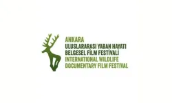 Yaban Hayatı Belgesel Festivali 15 Mayıs’ta başlıyor
