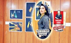 Sarı Rengin Sessizliğinde Bir Sanat Yolculuğu