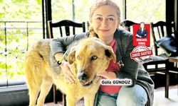 Hayvan hakları savunucularından katliam tepkisi