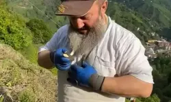 Yakaladığı yılanı boynuna doladı