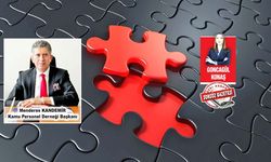 “STK’lar sorun çözmüyor, statü peşinde koşuyor”