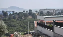 İzmir Foça'da Orman Yangını