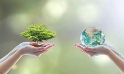 5 Haziran Dünya Çevre Günü Nedir?