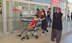 Adana'da arazöz devrilmesiyle 2 kişi yaralandı
