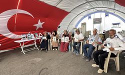 Diyarbakır anneleri evlatlarına kavuşmak istiyor