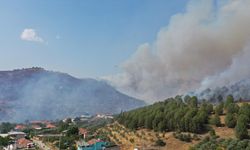 Efeler’de Alev Alarmı: 2 Uçak, 5 Helikopter Bölgeye Sevk Edildi