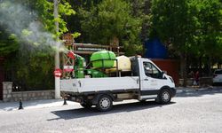 Niğde Belediyesi Haşereyle mücadele ediyor