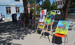 Şabanözü'nde bahar şenliği düzenlendi