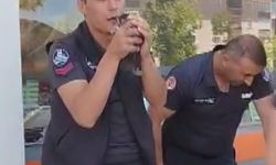 Anne kedi yavrularının kurtarılmasını bekledi