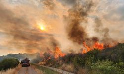 Çanakkale'deki orman yangını