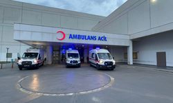 DEM Parti Van Milletvekili Mahmut Dindar Trafik Kazası Geçirdi