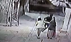Diyarbakır’da çekirge operasyonu